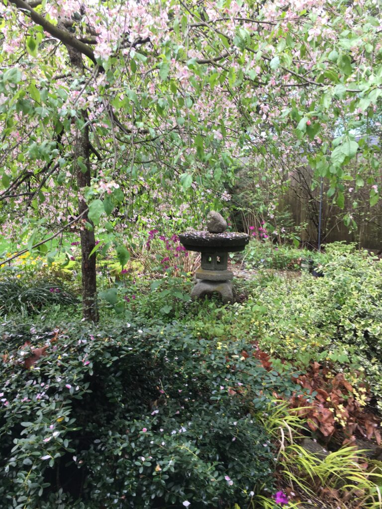 An Urban Oasis