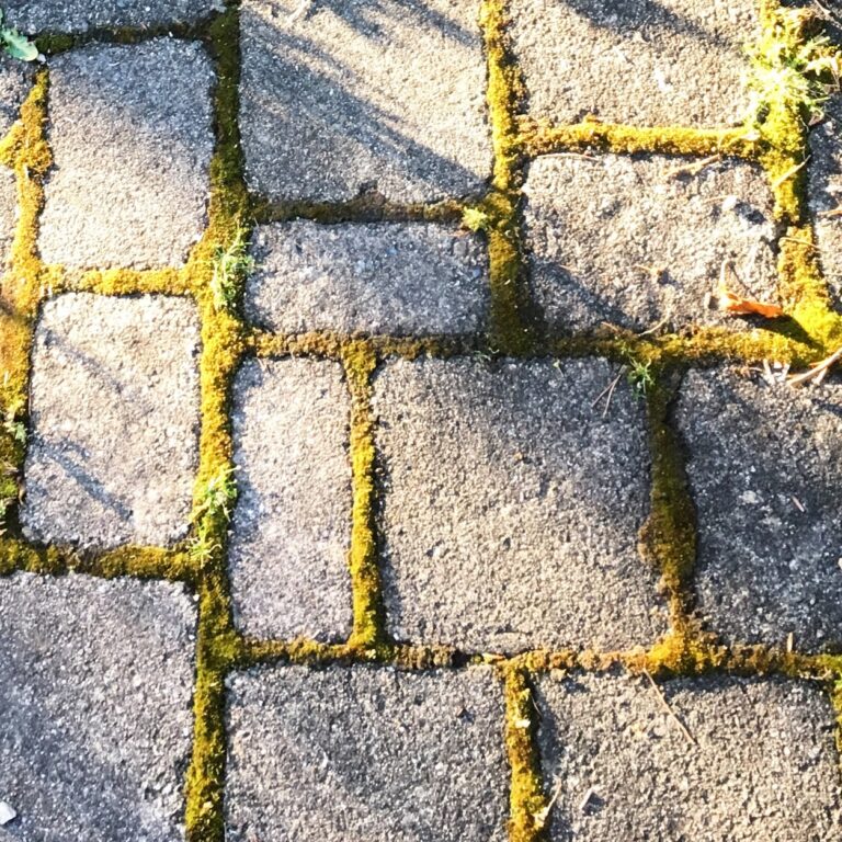 Attention to Details