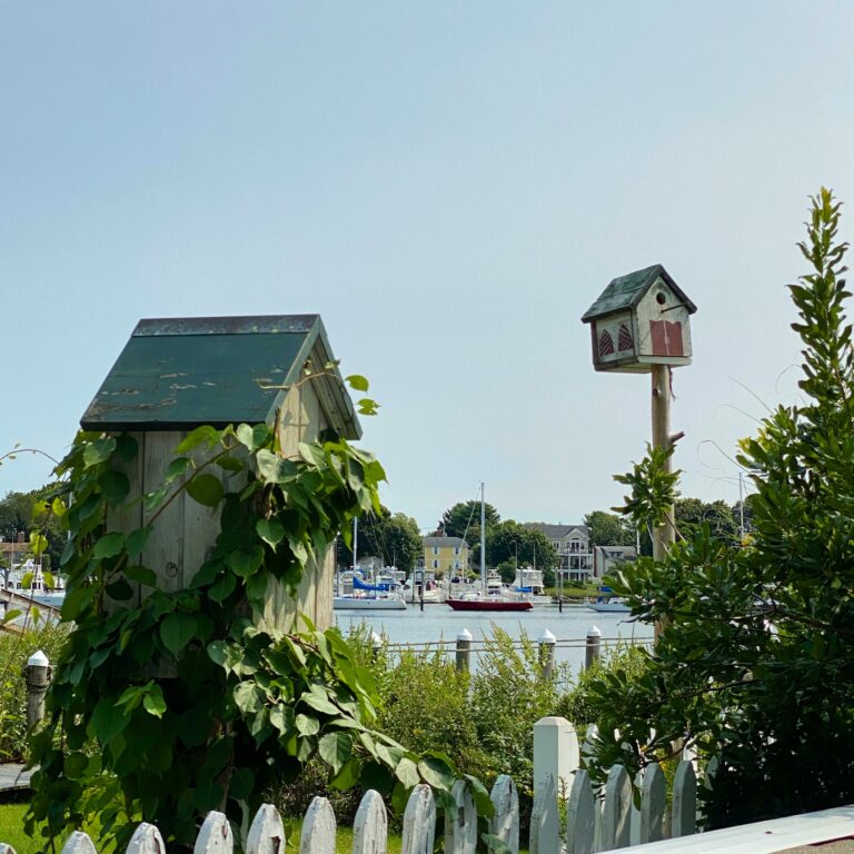 On the Harbor